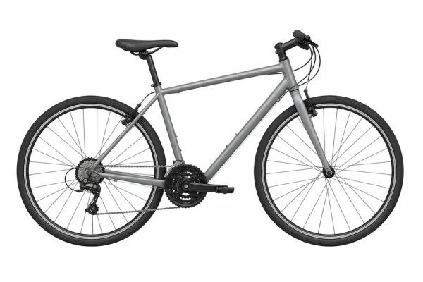 Illustration of Bicycle for MoverCalcs moving estimate inventory.